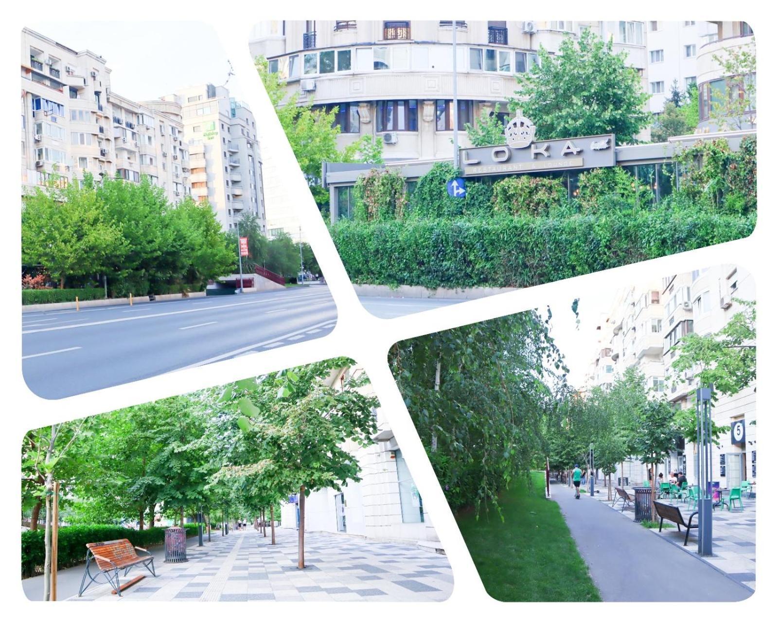 Central Apartament Bulevardul Decebal Bukares Bagian luar foto